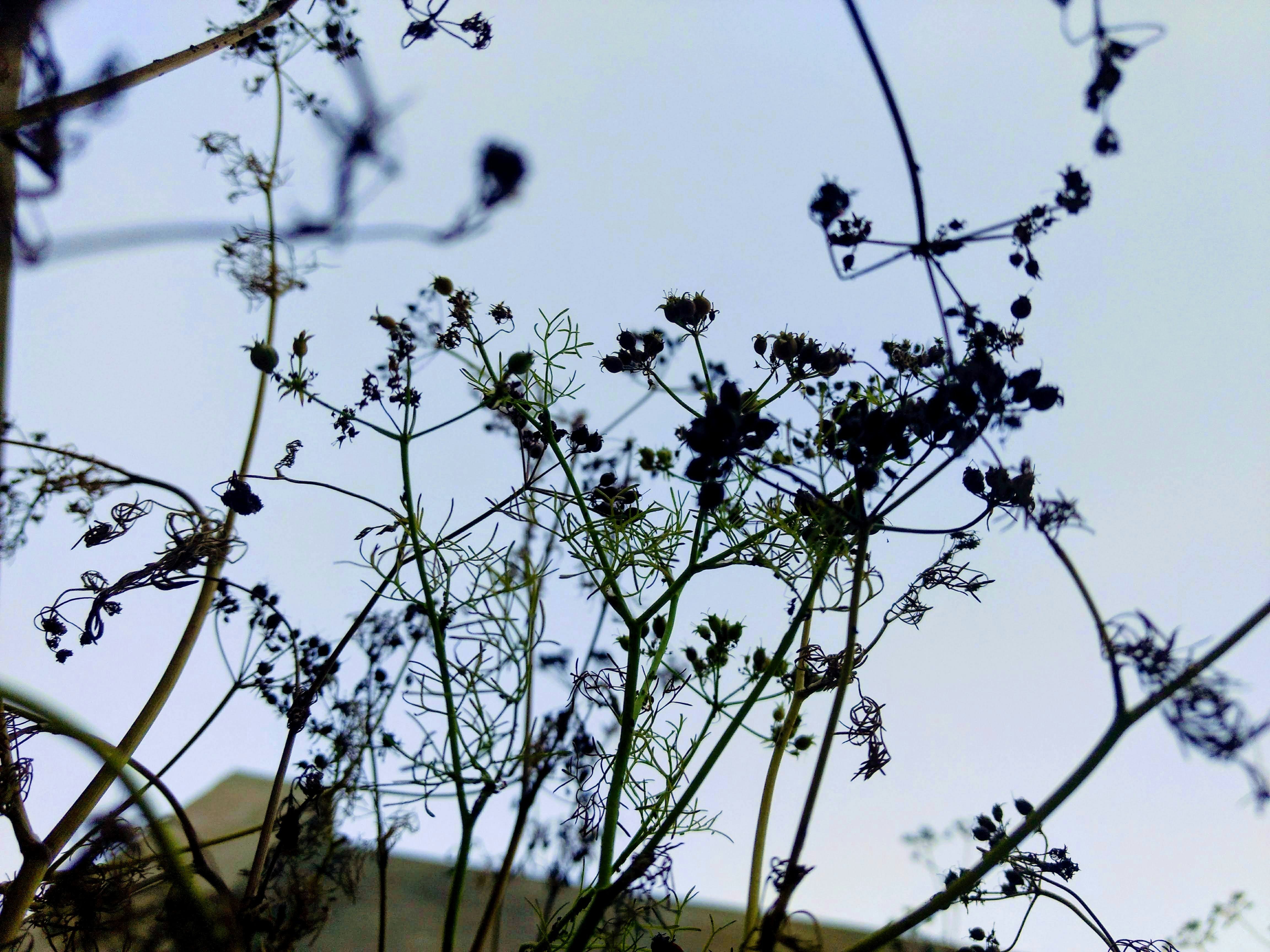 Photo by art_of_lush