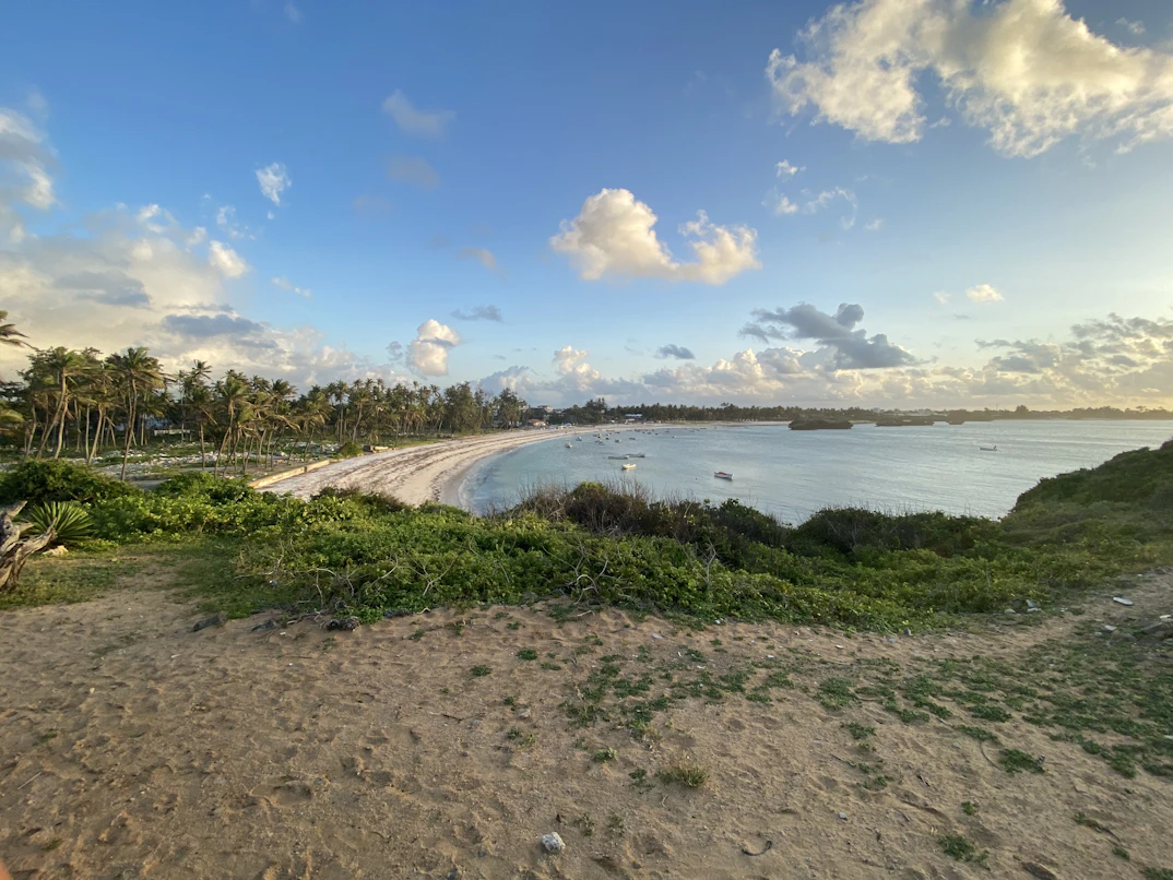 Watamu beach view with turquoise water and palm trees