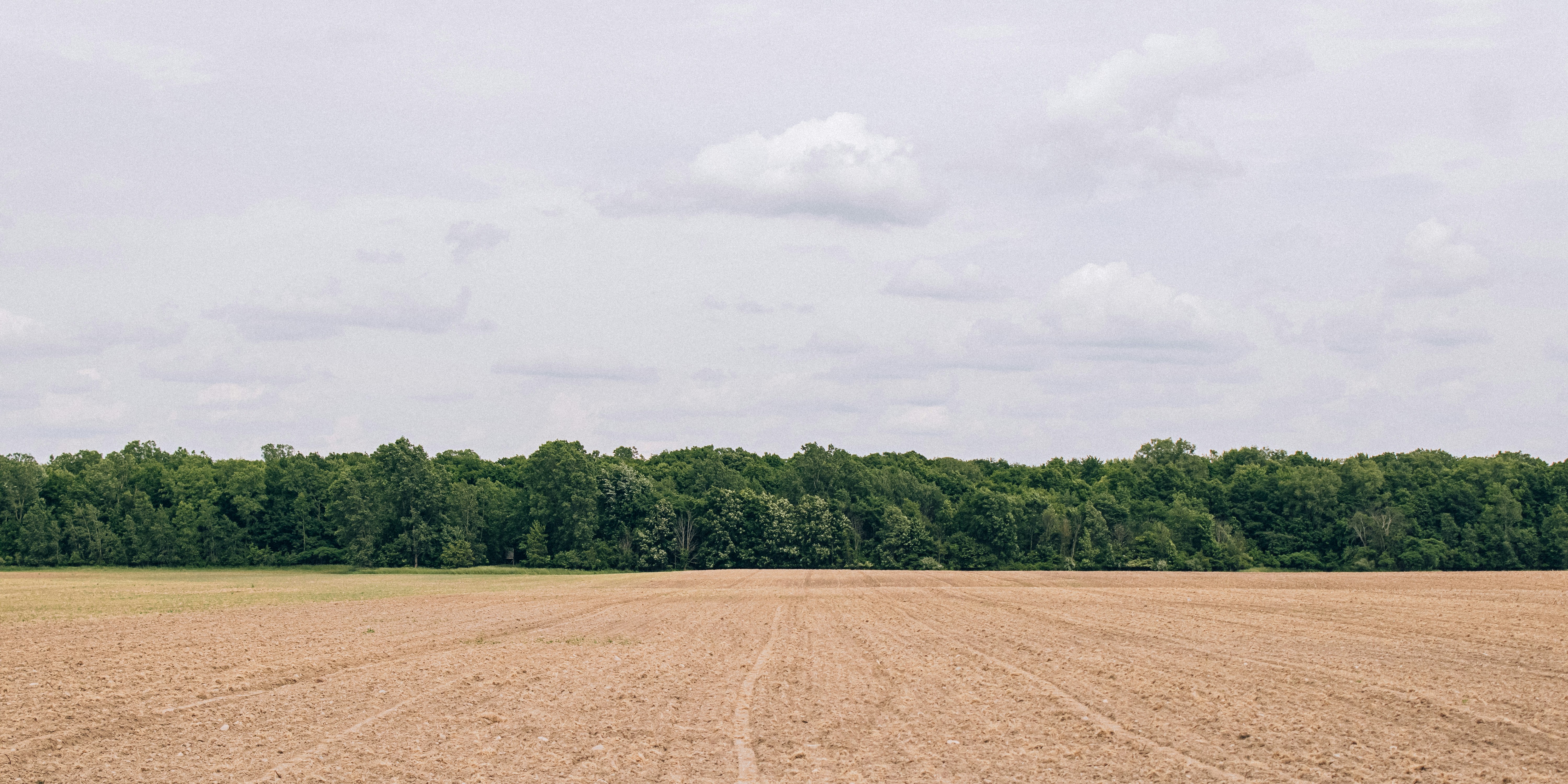 Choose from a curated selection of green wallpapers for your mobile and desktop screens. Always free on Unsplash.