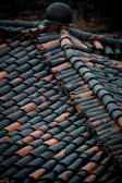 Traditional curved roof tiles arranged in an overlapping pattern on a rustic building.