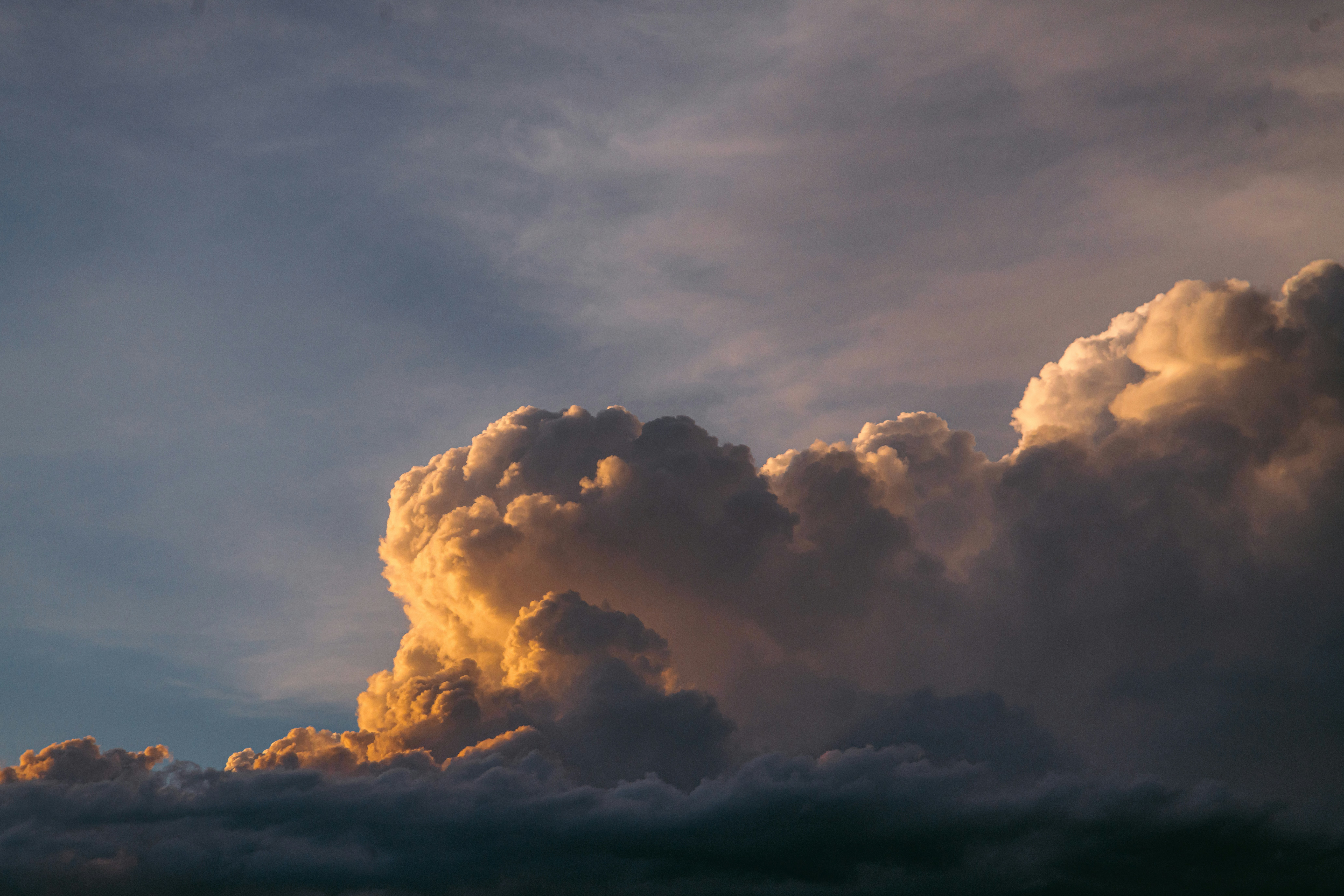 Photo by fernthephotographer