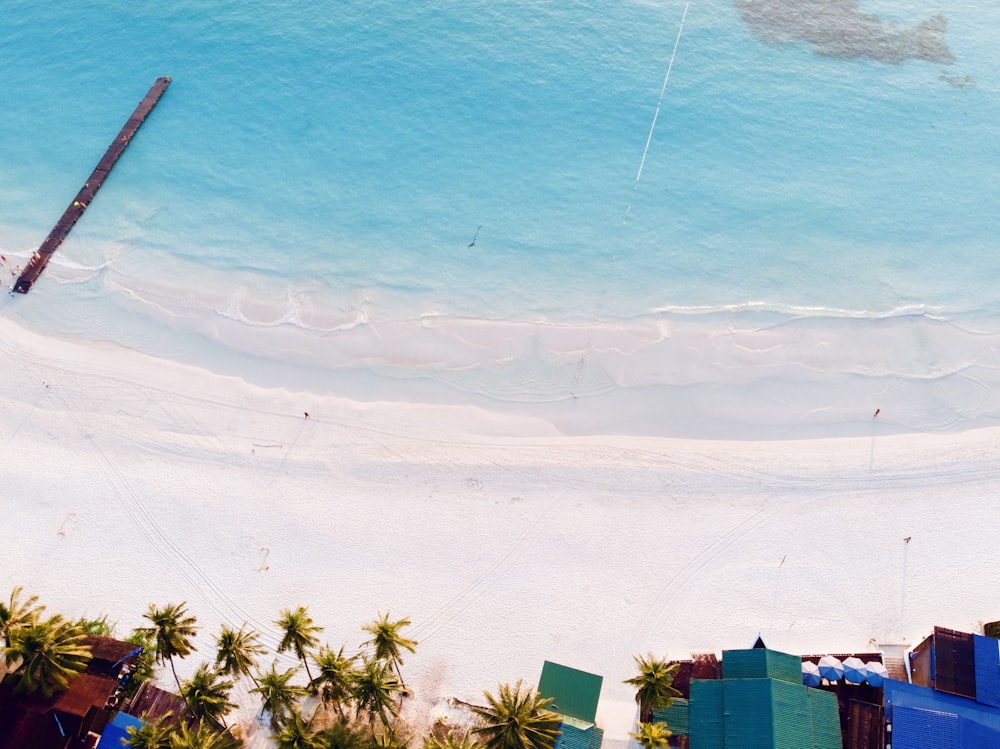 an aerial view of a beach with palm trees