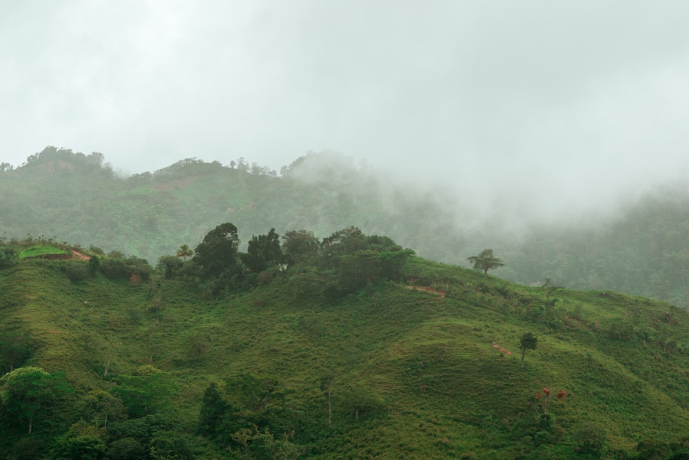 a lush green hillside covered in clouds and trees