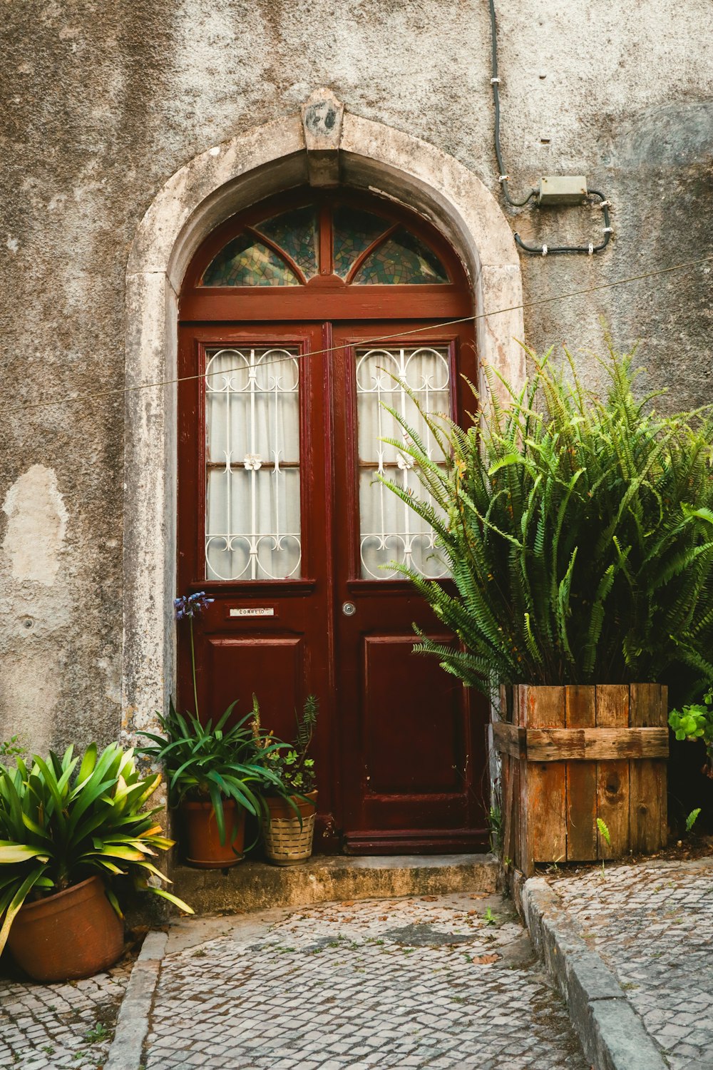 a red door with two potted plants in front of it