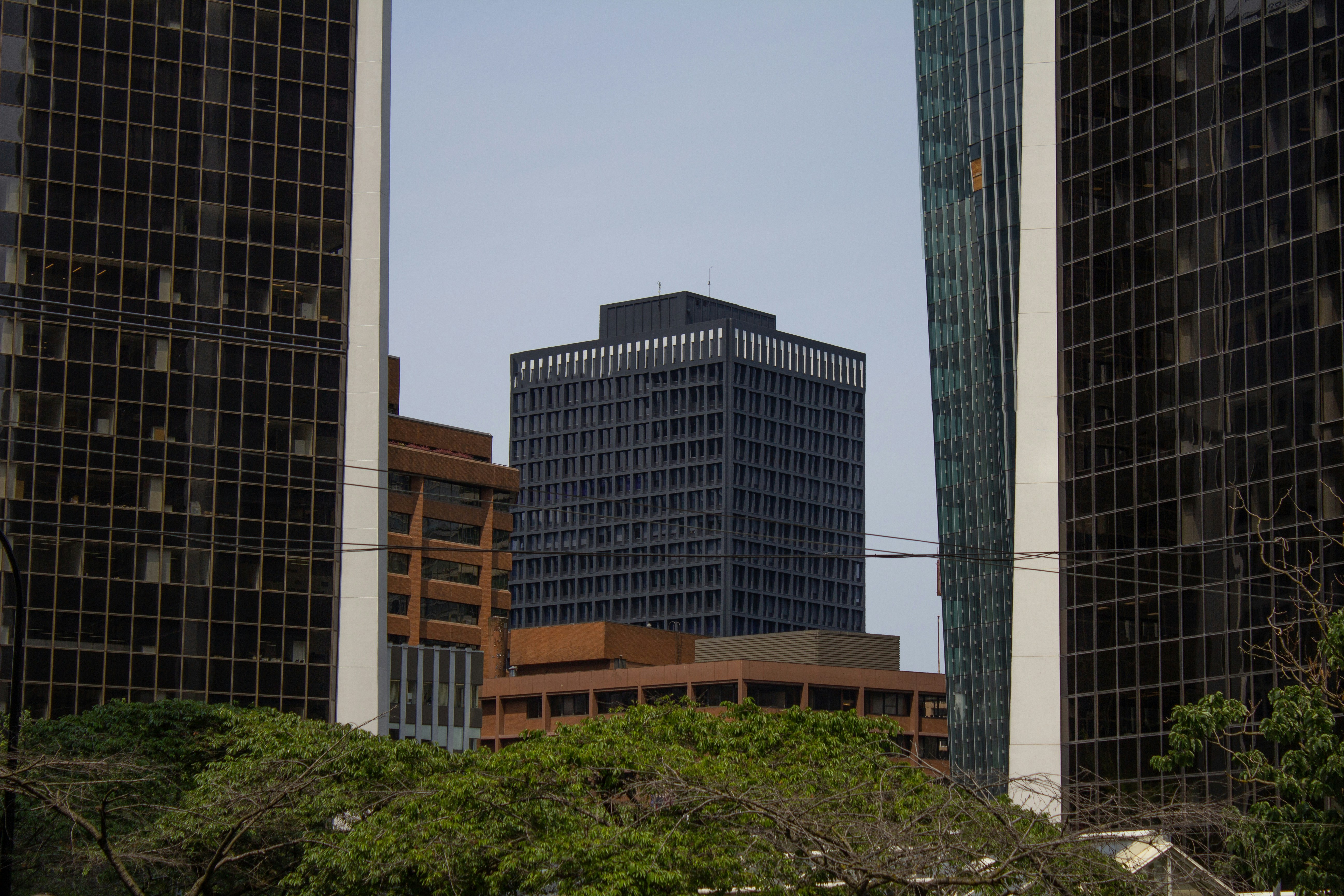 Photo by west_coast_photos_inc