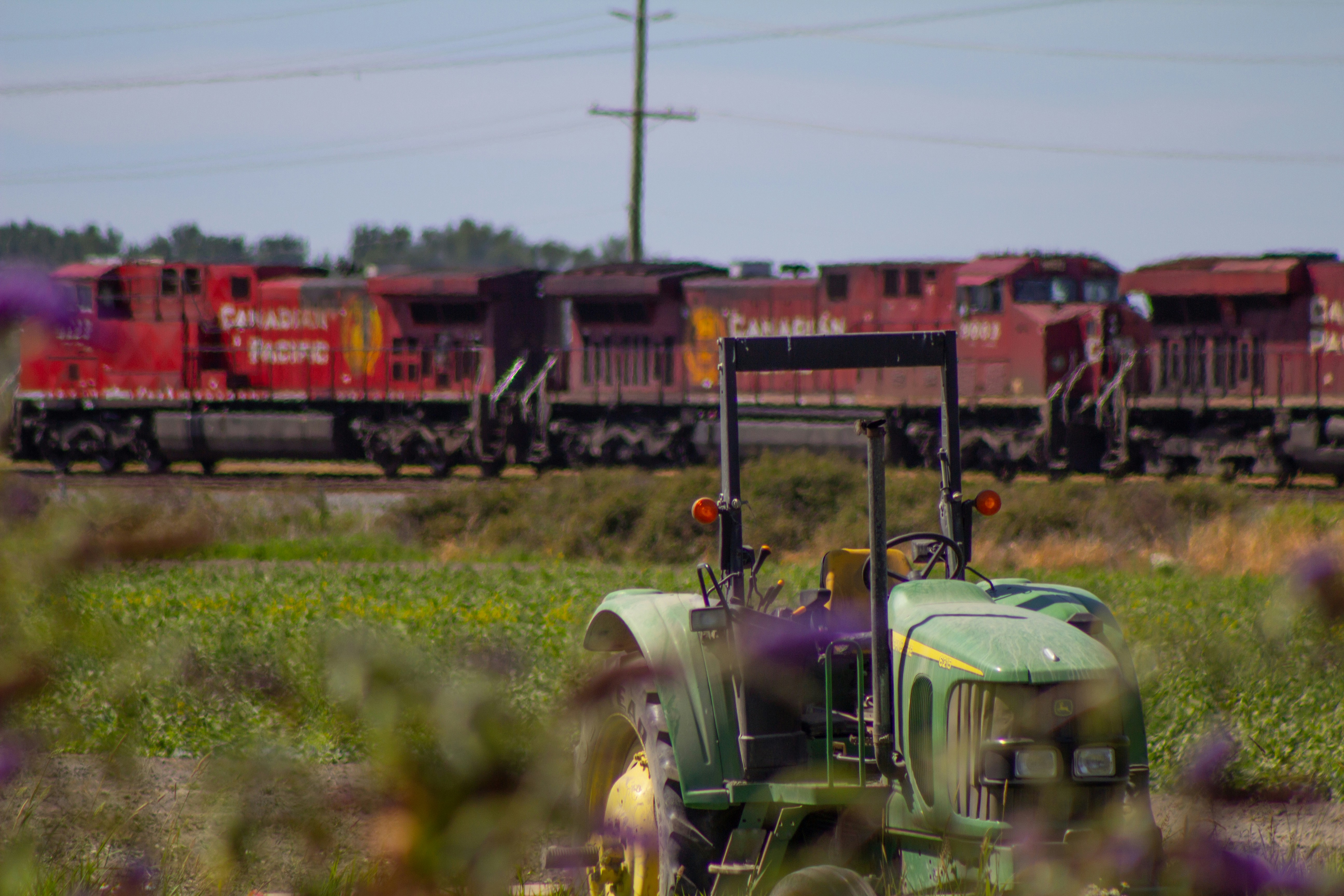 train