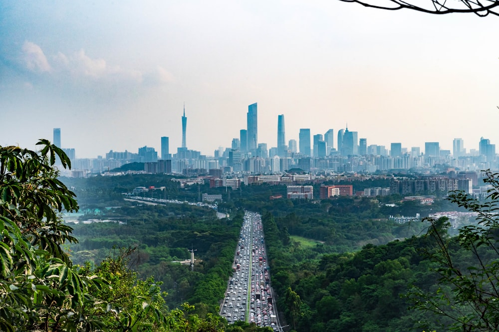 a view of a city skyline from a hill