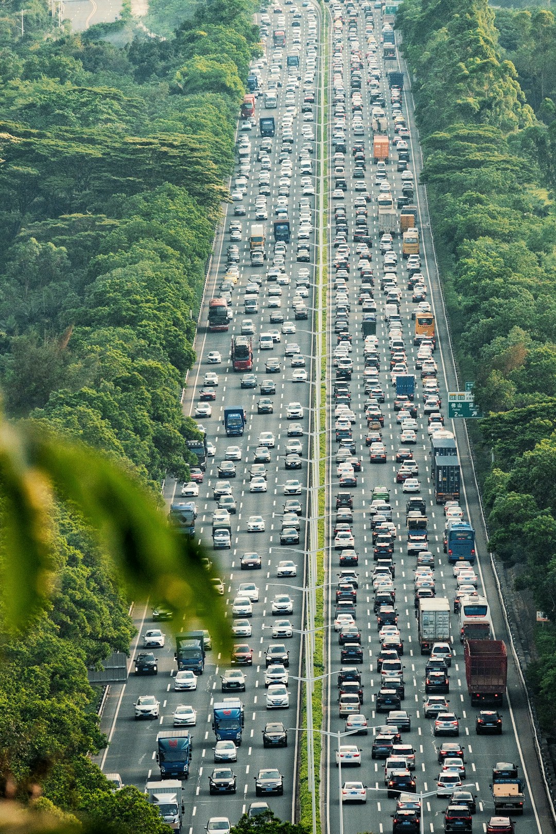 organic traffic growth over time