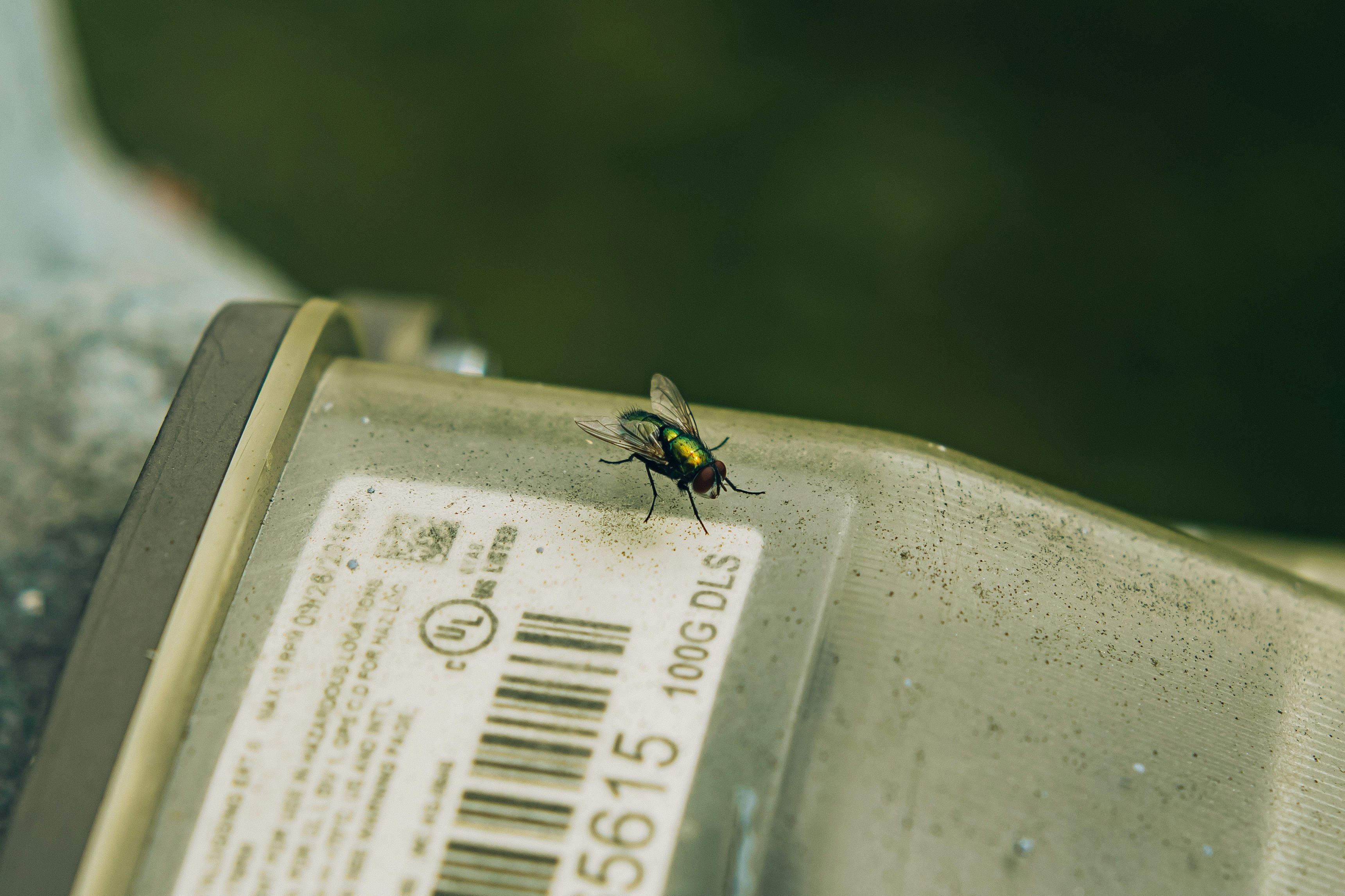 a fly sitting on top of a metal object