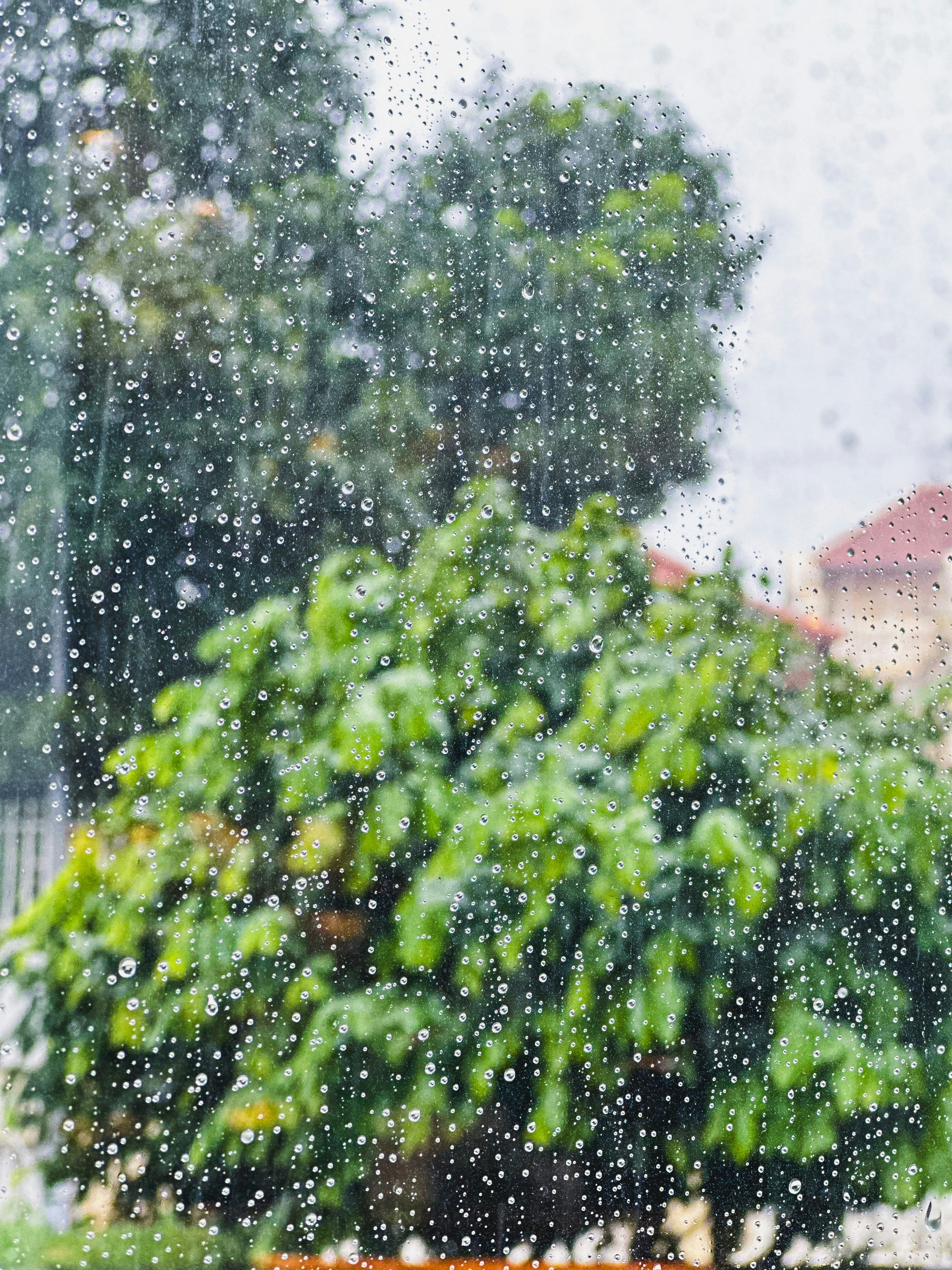 Photo by hashbrownay