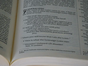 A user happily marking completed Bible chapters on a digital reading tracker.