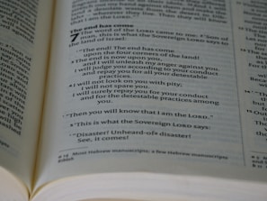 Modern minimalist illustration of a Bible opened to key reformational passages.