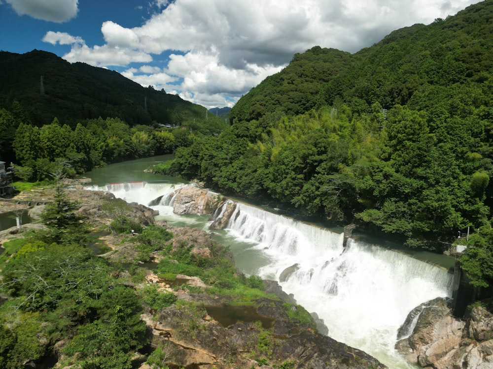 a river running through a lush green forest