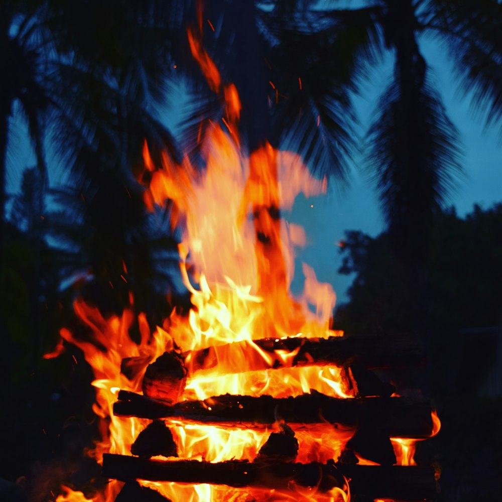 a fire burning in a forest at night