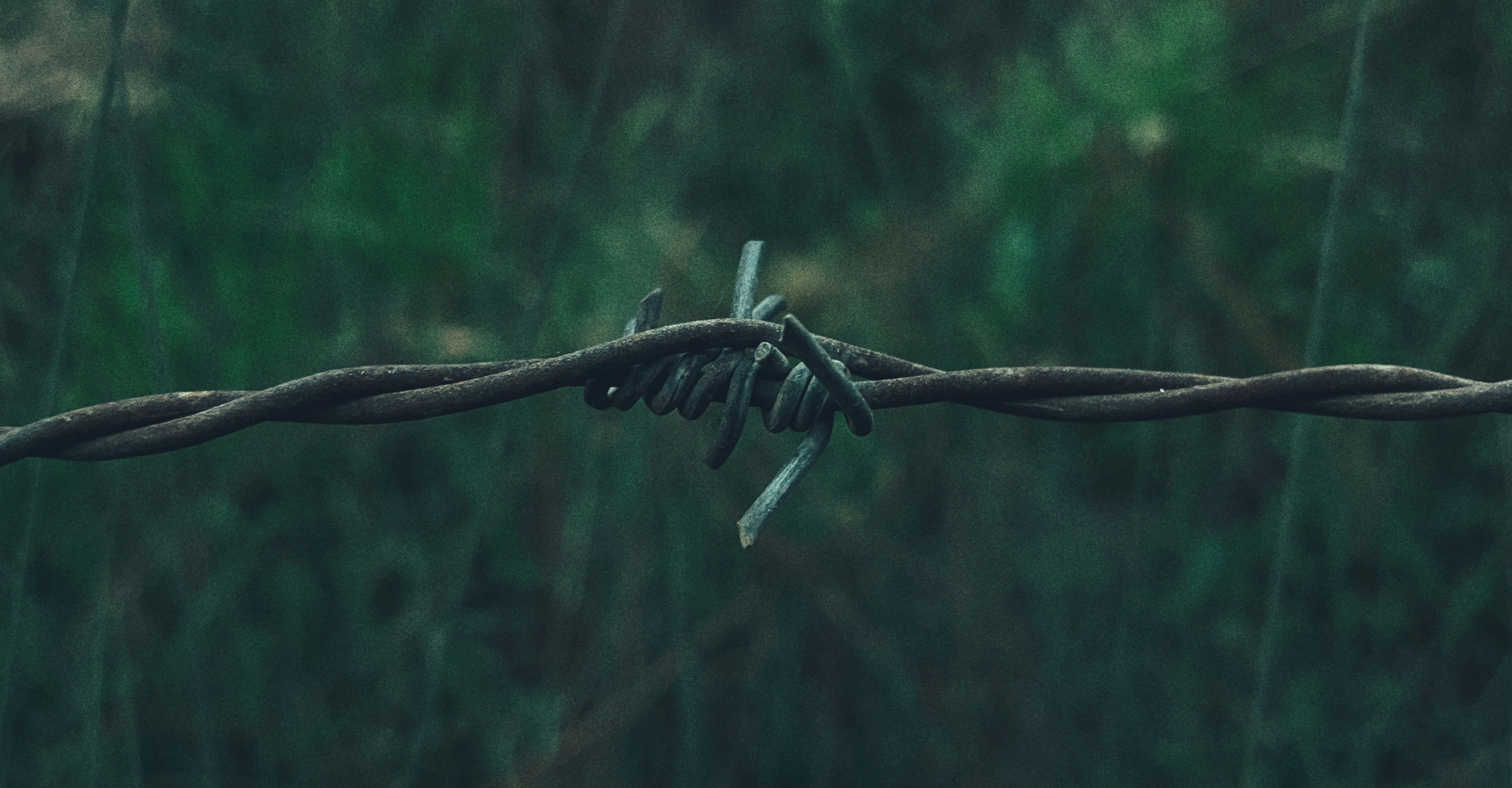 a close up of a barbed wire with grass in the background
