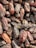 A close-up of a pile of dried dates with a rich, dark brown color. The dates have a glossy sheen and slightly wrinkled texture.