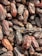 A close-up of a pile of dried dates with a rich, dark brown color. The dates have a glossy sheen and slightly wrinkled texture.