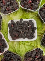 A collection of dark, ripe mulberries is neatly arranged in a white rectangular container, surrounded by multiple similar containers filled with mulberries, all set on a bed of fresh green lettuce leaves.