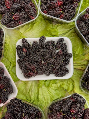 A collection of dark, ripe mulberries is neatly arranged in a white rectangular container, surrounded by multiple similar containers filled with mulberries, all set on a bed of fresh green lettuce leaves.