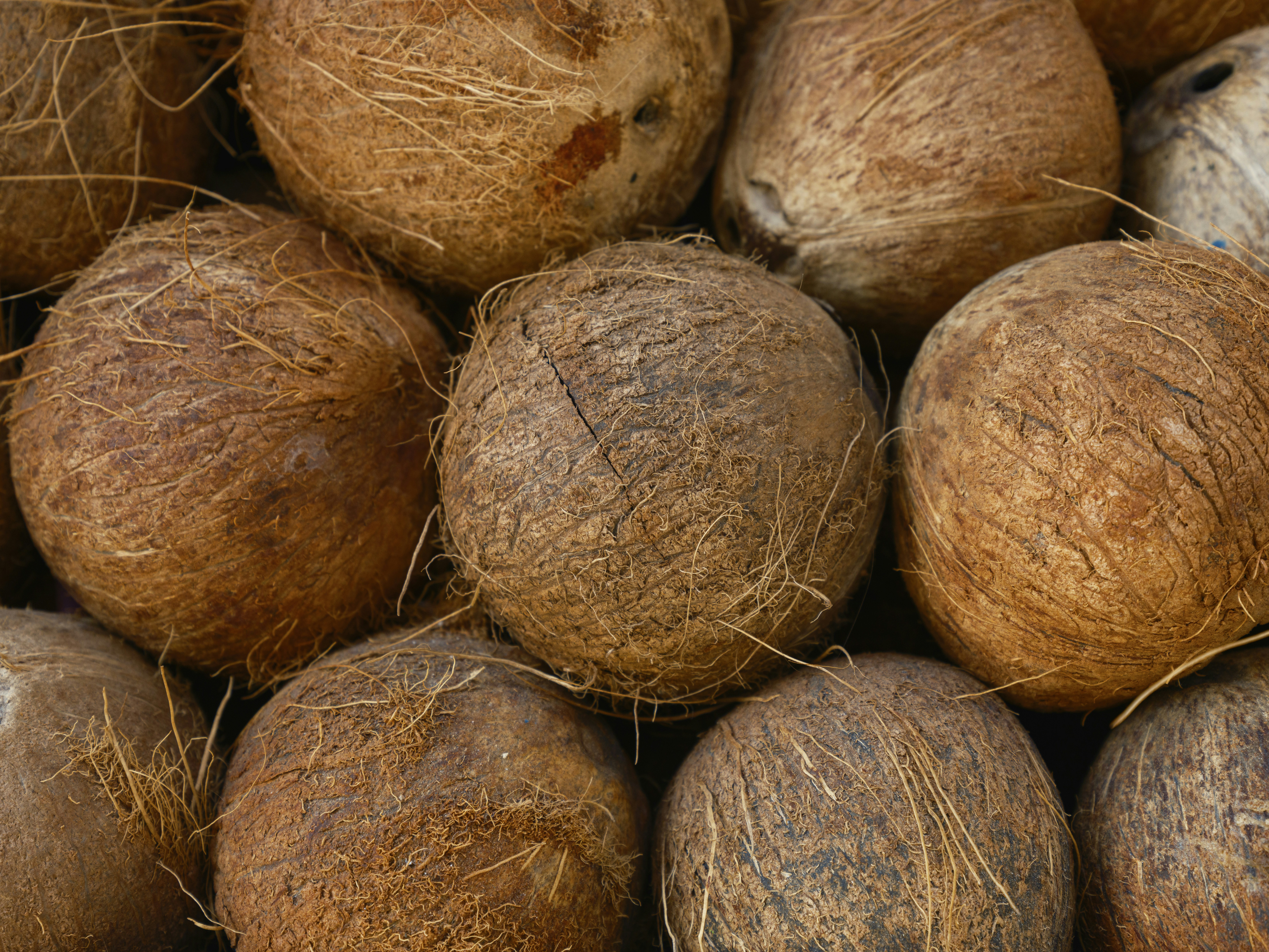 Unlock the Amazing Health Benefits of Dried Coconut Chips