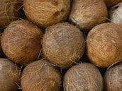 Several coconuts are clustered together, showcasing their rough, fibrous brown husks and natural textures. They are laid out closely, highlighting their round shapes and unique surface patterns.