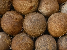 Several coconuts are clustered together, showcasing their rough, fibrous brown husks and natural textures. They are laid out closely, highlighting their round shapes and unique surface patterns.