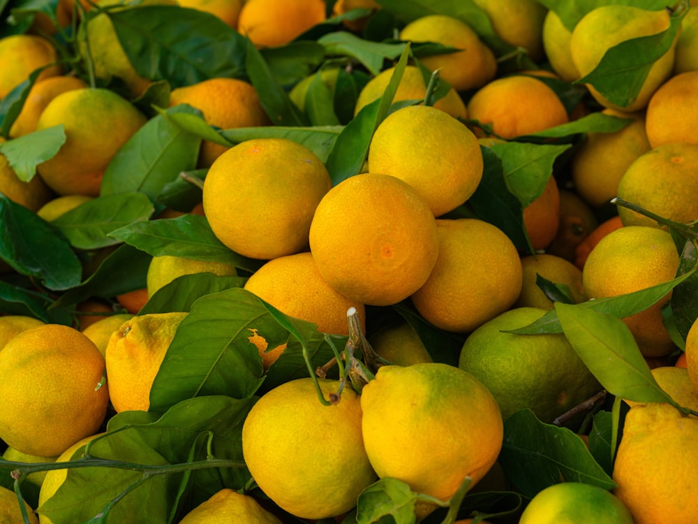 a pile of lemons with green leaves on them