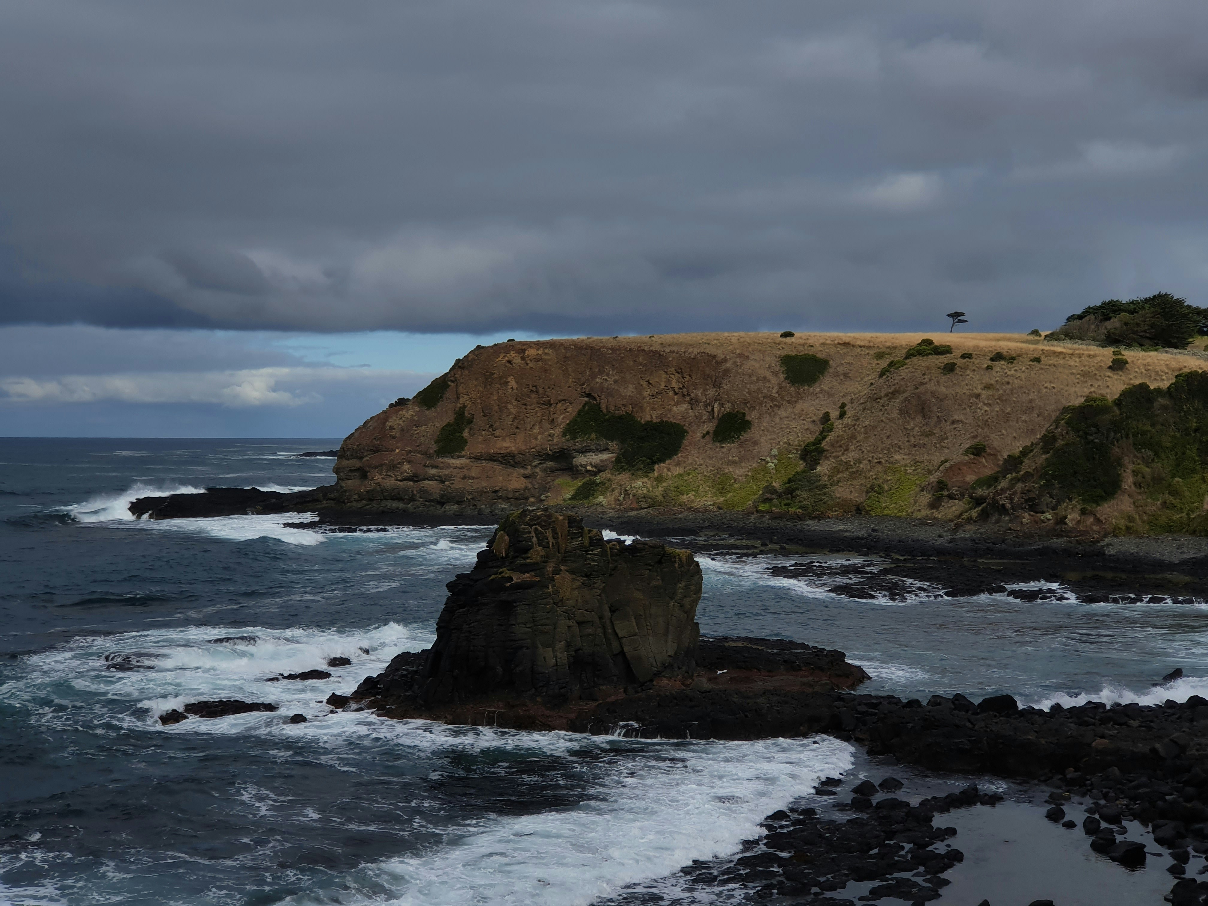 Photo by ellenartstudio