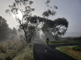 A man confidently walking along a winding path at sunrise, symbolizing personal growth and new beginnings.