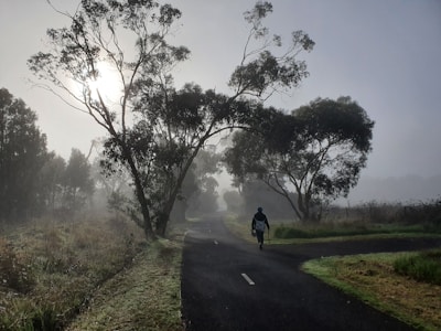 Participants walking mindfully along a quiet forest path in the early morning