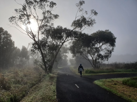 A serene morning scene with a person enjoying a peaceful walk outdoors.