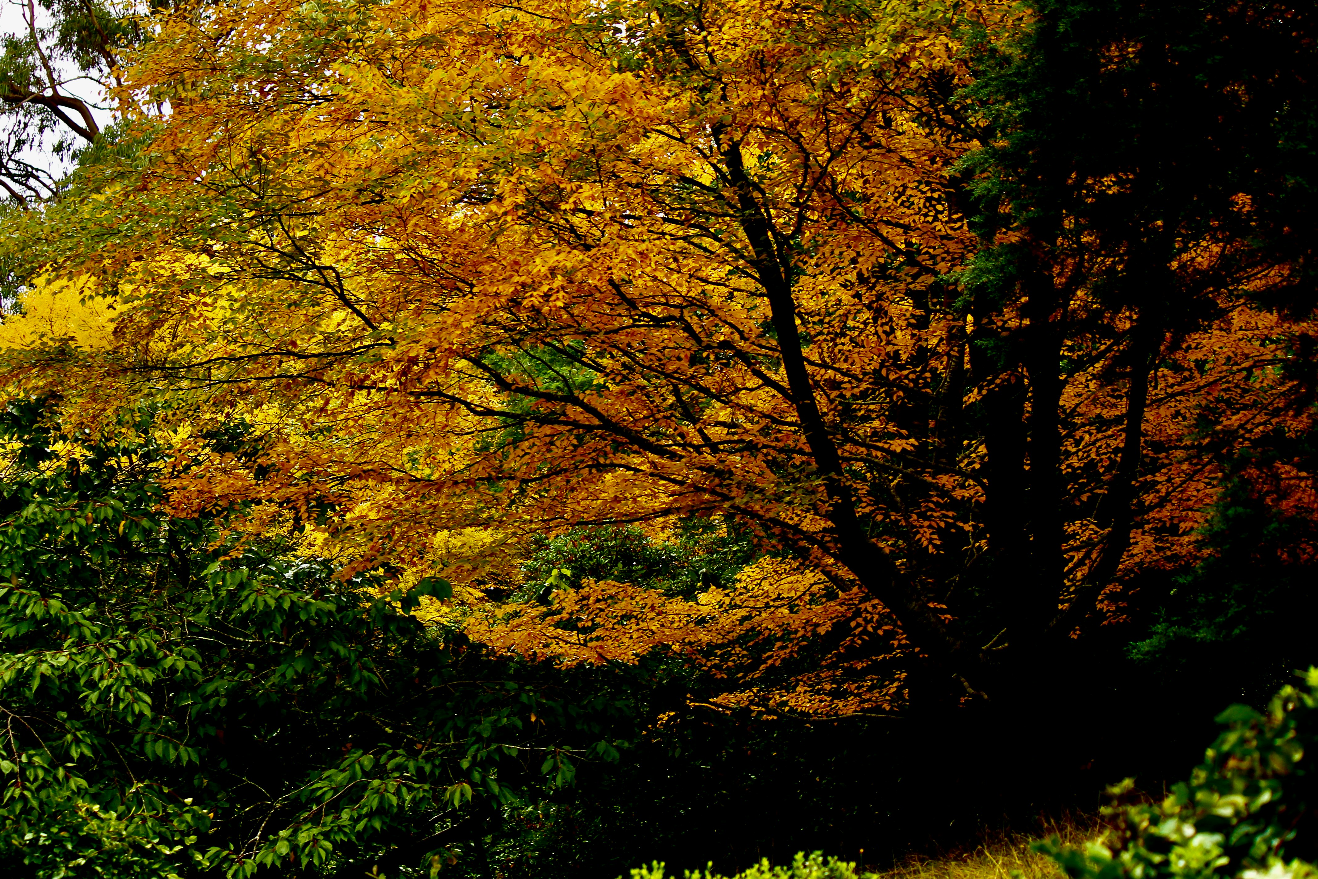 Photo by ellenartstudio