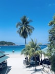 A picturesque tropical beach scene featuring tall palm trees, white sandy beach, and clear blue ocean. A small boat is anchored near the shoreline, and a coastal building with a sign reads 'Redang Bay'. Distant green hills are visible across the water under a clear blue sky.