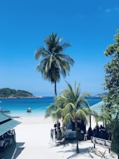 A picturesque tropical beach scene featuring tall palm trees, white sandy beach, and clear blue ocean. A small boat is anchored near the shoreline, and a coastal building with a sign reads 'Redang Bay'. Distant green hills are visible across the water under a clear blue sky.