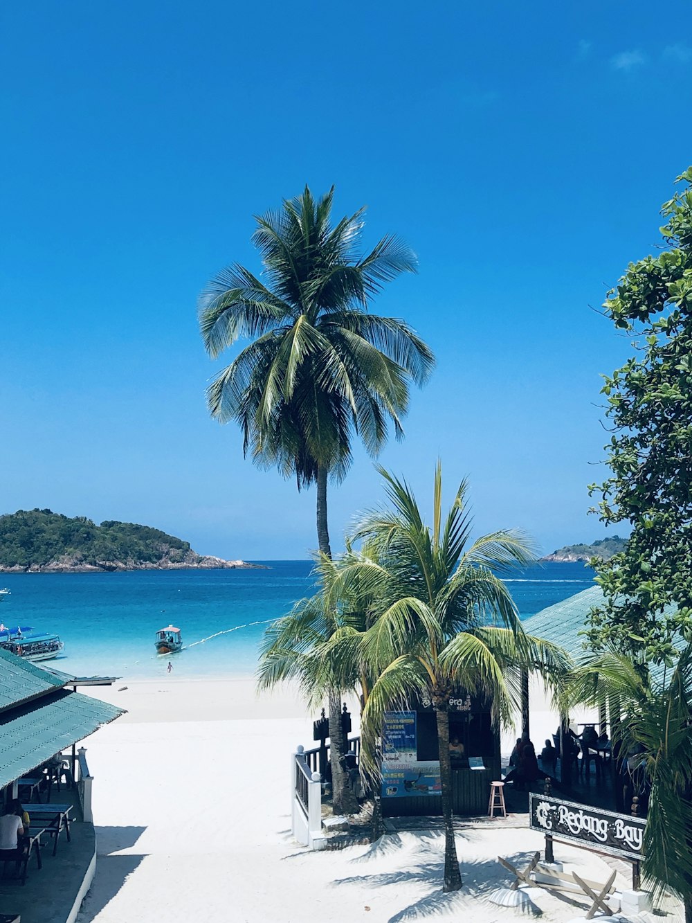 a white sandy beach with a palm tree