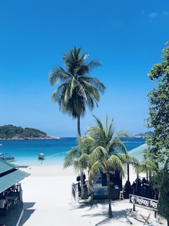 A picturesque tropical beach scene featuring tall palm trees, white sandy beach, and clear blue ocean. A small boat is anchored near the shoreline, and a coastal building with a sign reads 'Redang Bay'. Distant green hills are visible across the water under a clear blue sky.