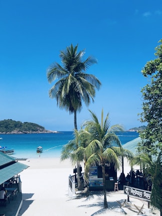 A picturesque tropical beach scene featuring tall palm trees, white sandy beach, and clear blue ocean. A small boat is anchored near the shoreline, and a coastal building with a sign reads 'Redang Bay'. Distant green hills are visible across the water under a clear blue sky.