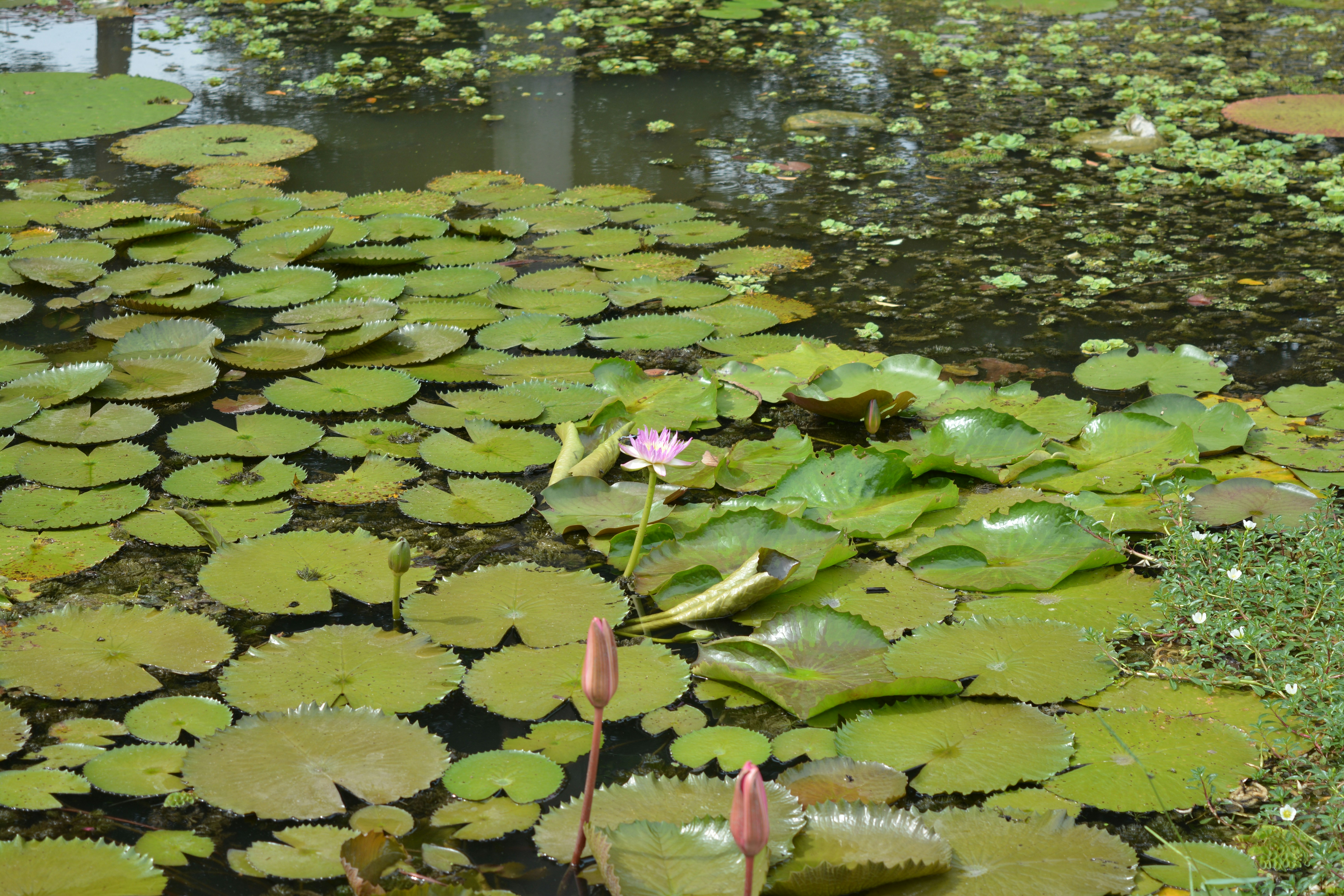 Photo by kuyuneth2543