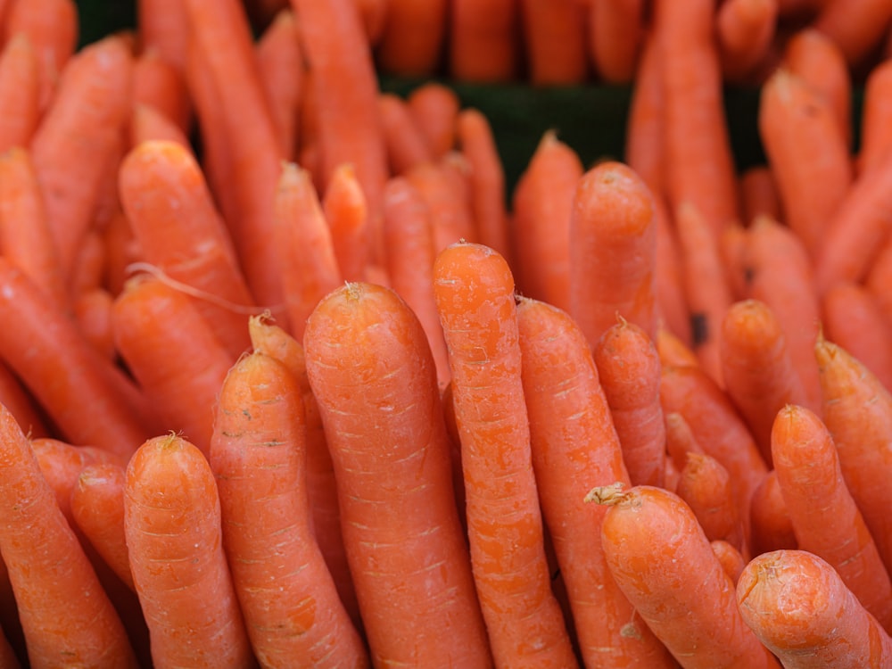 Un montón de zanahorias sentadas una al lado de la otra