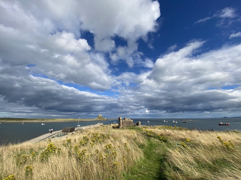 a grassy hill with a body of water in the background