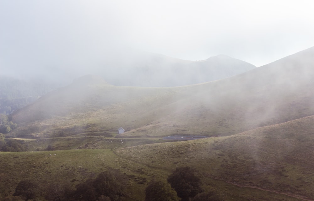 a foggy landscape with a few trees and hills