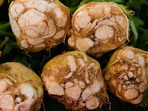 Creamy Malanga Roots