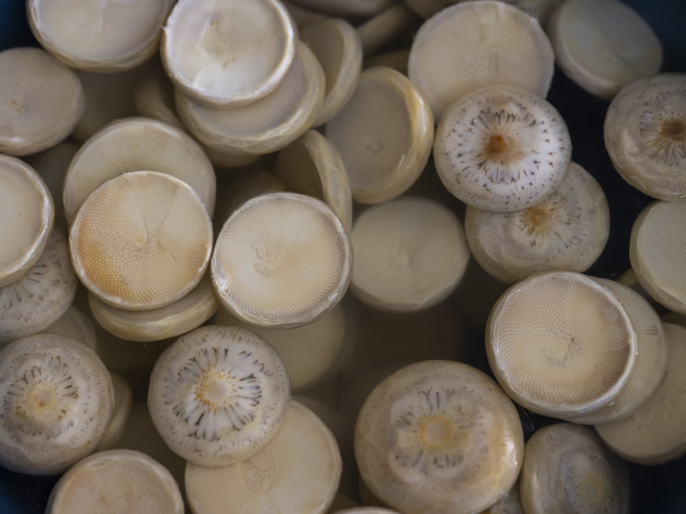 a bunch of mushrooms that are in a blue bowl