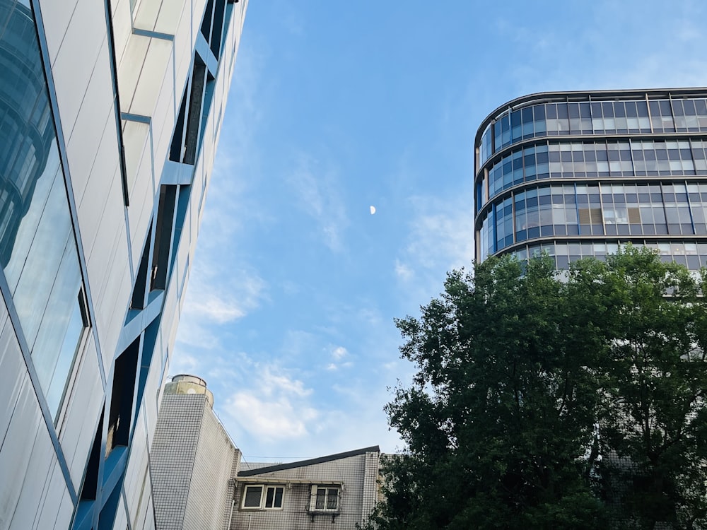 una vista di un edificio e un albero in primo piano