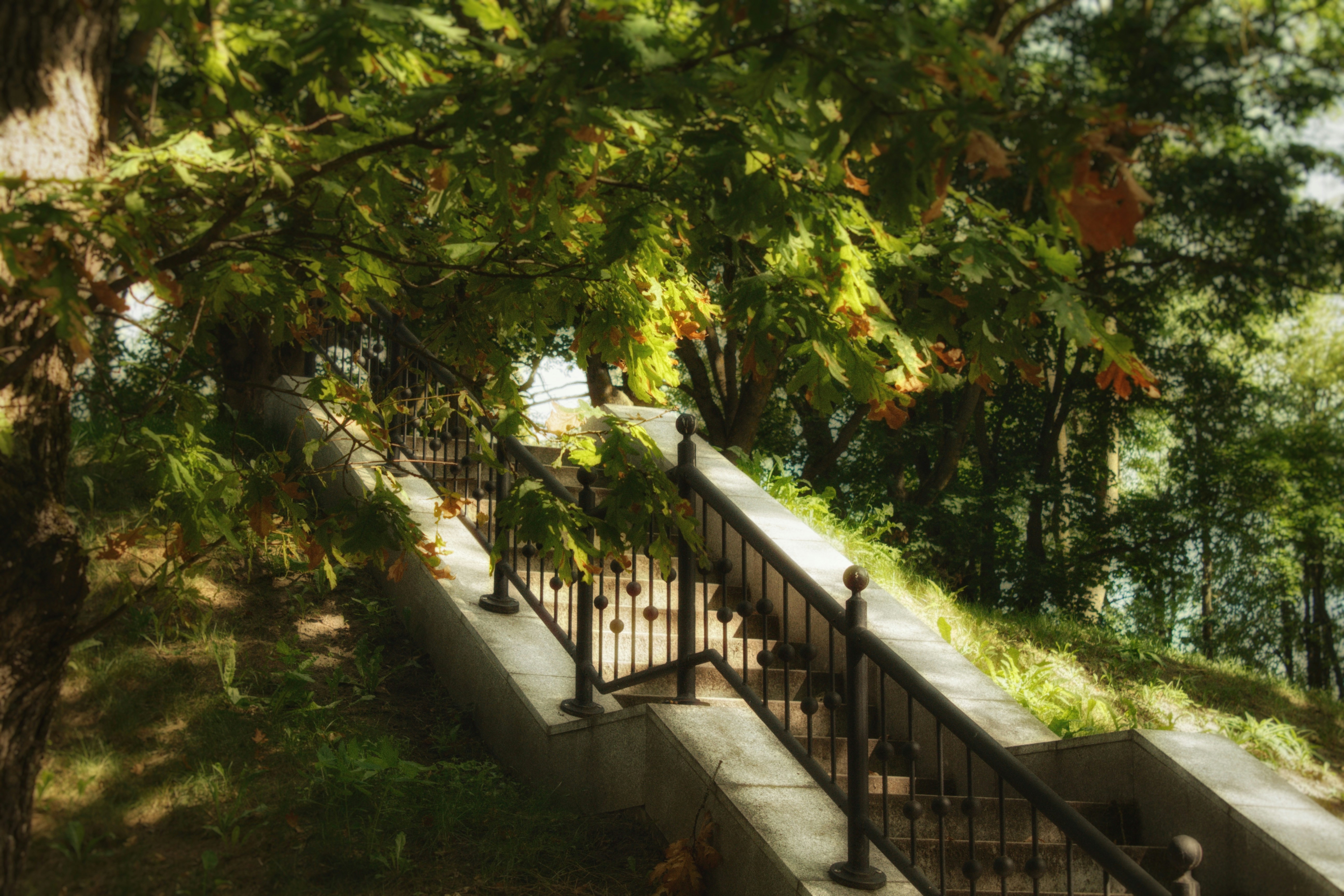 Photo by maximyuryshev