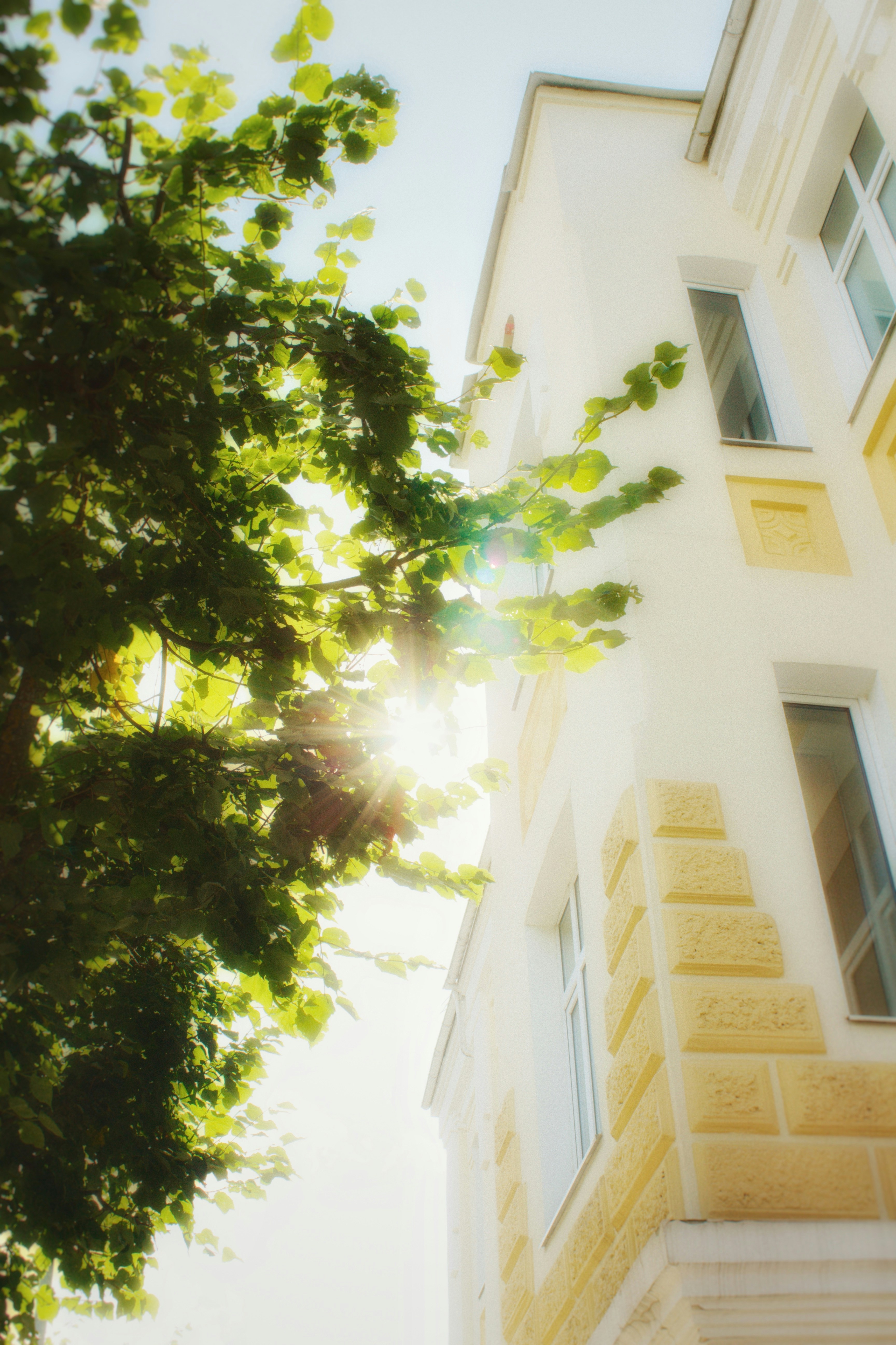 Photo by maximyuryshev