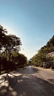 A calm, empty running trail winding through gently rolling hills under soft morning light, without any runners present.