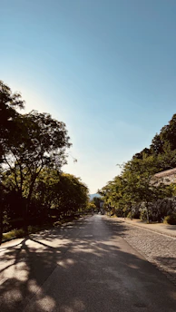 A calm, empty running trail winding through gently rolling hills under soft morning light, without any runners present.