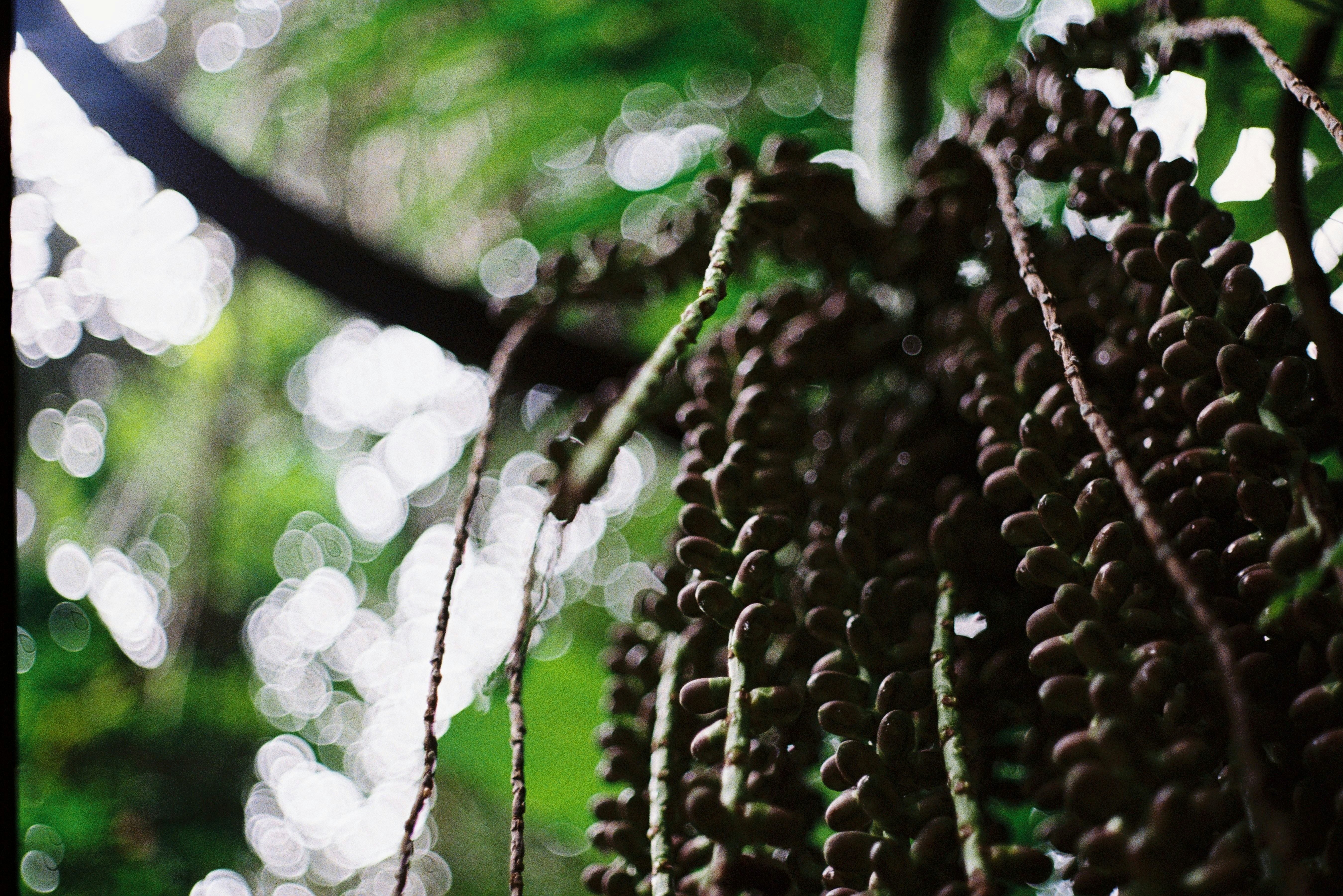 Snowmobile and UTV Rentals in Grand Marais