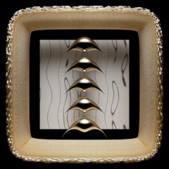 An abstract close-up in a gold frame.